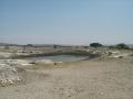 Xahue (jag�ey) de Progreso