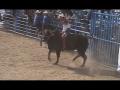 Jaripeo de Ziqui Enero 2007