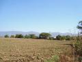 campo de cocula