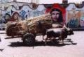 Murales