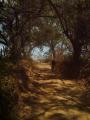 camino a la catalina