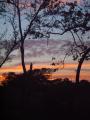 tarde