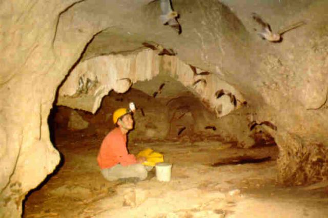 la cueva del tindarapo