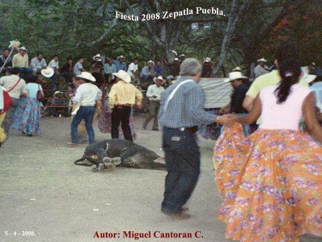 Santa Cruz Zepatla Puebla
