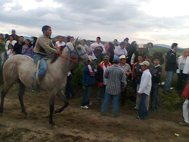 carreras de caballos en la fiesta del pueblo