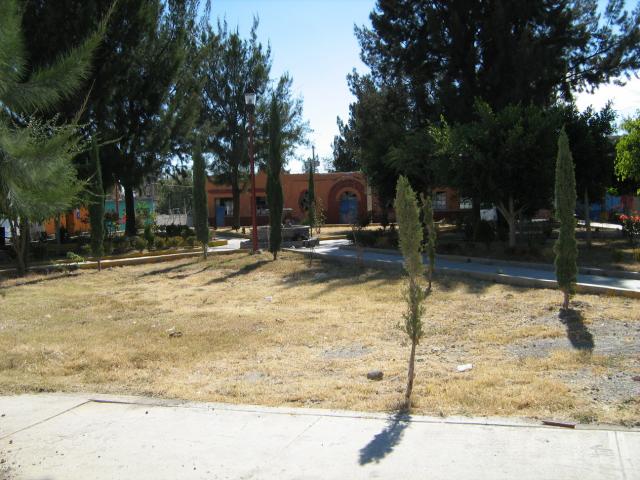 Parque en Progreso