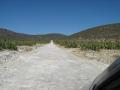 Camino al Magdalena Alquizapan