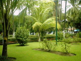 Jardin principal