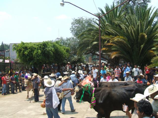 Colonia San Isidro