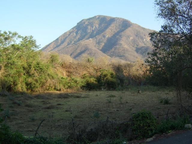 el cerro zicuindio