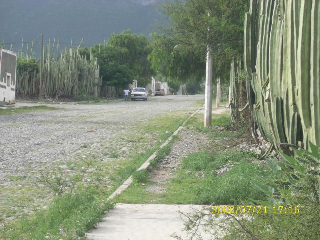 calles de miquihuana tamaulipas